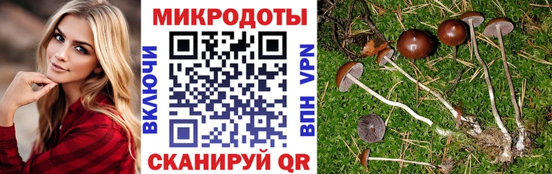 Псилоцибиновые грибы ЛСД  закладка  Коммунар 